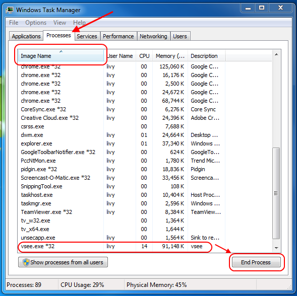 Screencap showing Task Manager