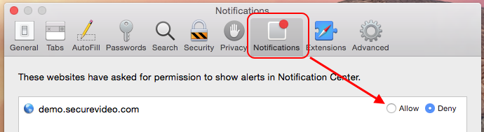 Safari notification option: Allow