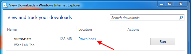 Screencap showing Downloads option