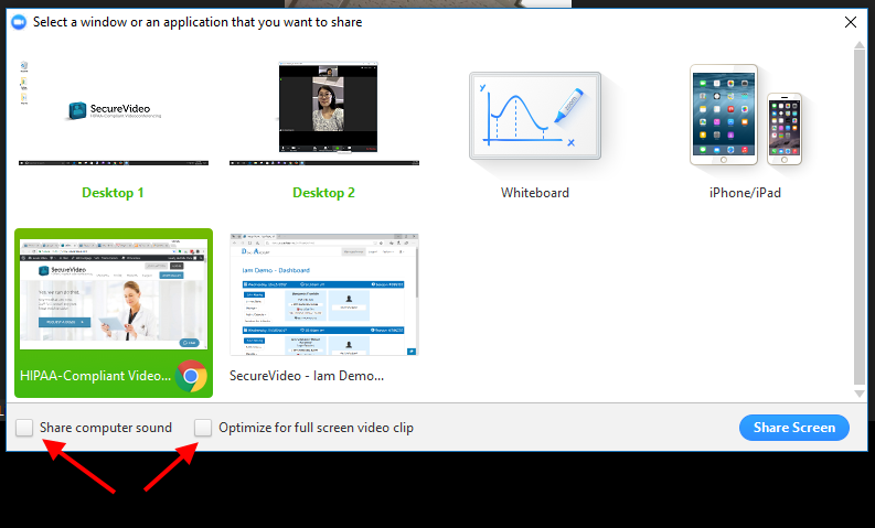 Arrow pointing at checkboxes for "Share computer sound" and "Optimize for full screen video clip" on the window to select which screen to share