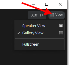 Arrow pointing at "View" button and showing that Gallery View is currently selected