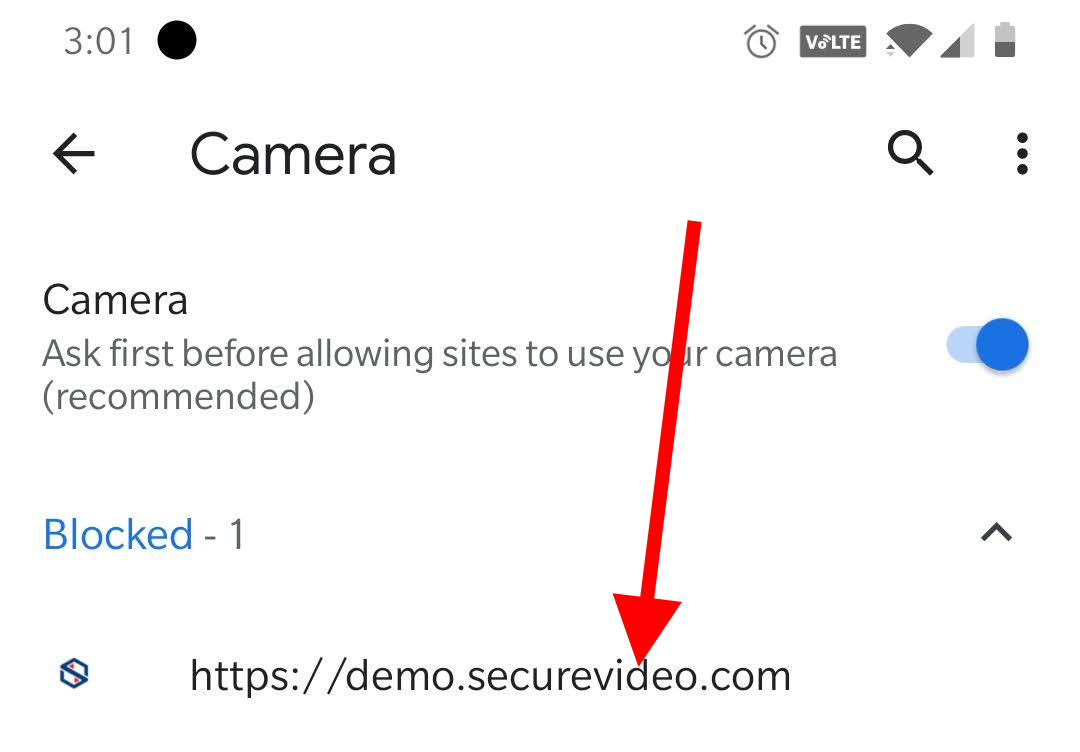Arrow pointing at https://demo.securevideo.com, the branded subdomain for this example