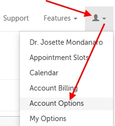 Arrow pointing at the profile icon and then at the Account Options menu item