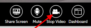Arrow pointing at "Stop Video"
